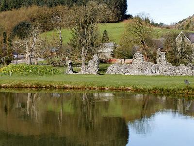 Image of Abbey Cwm Hir