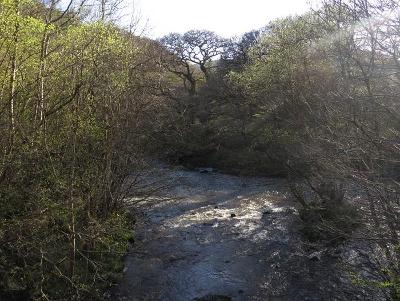 River Marteg Meets River Wye - Marteg Bridge