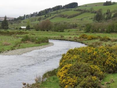 River Wye - Bridge NR Llangurig