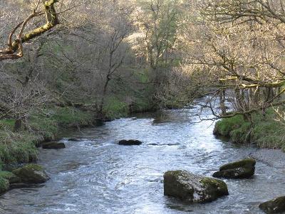 River Wye - Footbridge NR Marteg Bridge