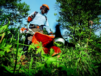 Image of a person strimming a lawn