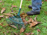 Garden waste 