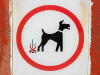 No dog fouling