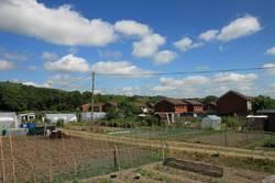 Newtown Allotment Gardens